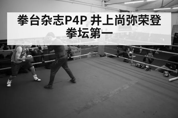 boxer training gym